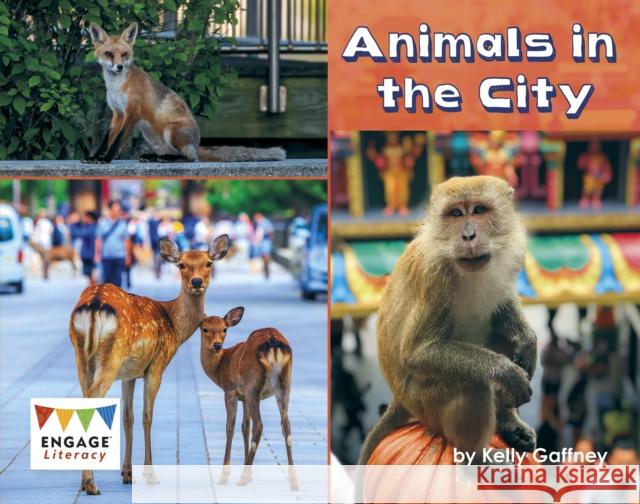 Animals in the City Kelly Gaffney 9781474799478