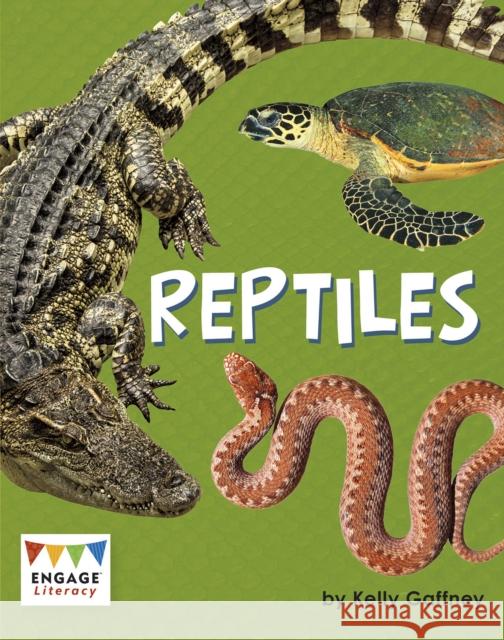 Reptiles Kelly Gaffney 9781474799577