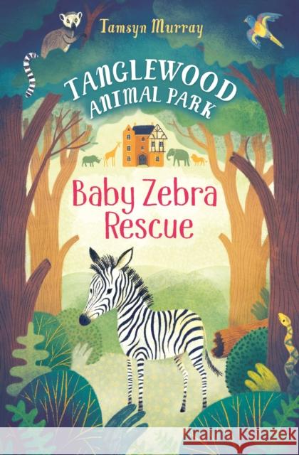 Baby Zebra Rescue Murray, Tamsyn 9781474903035