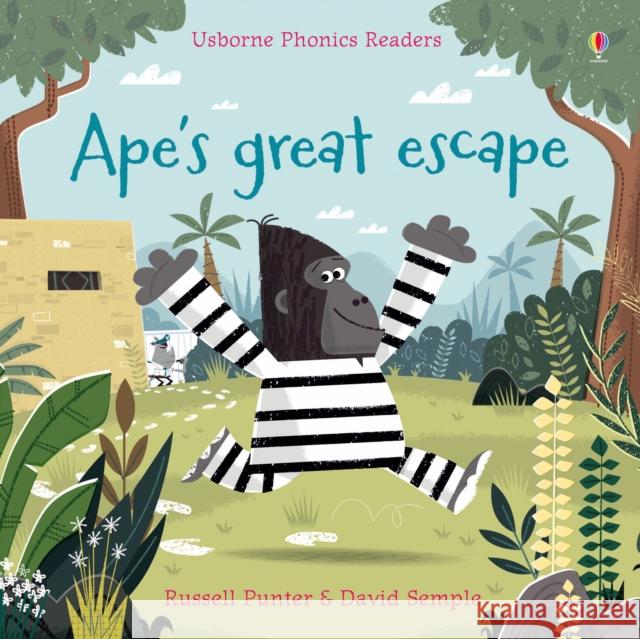 Ape's Great Escape Russell Punter 9781474922111 Phonics Readers