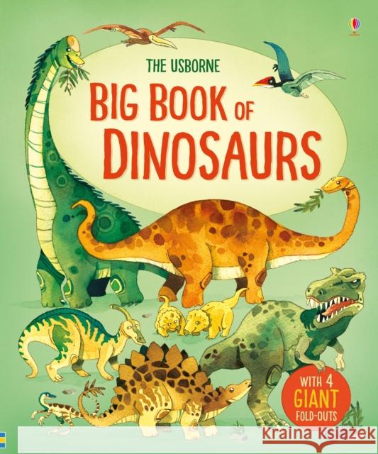 Big Book of Dinosaurs Frith, Alex 9781474927475