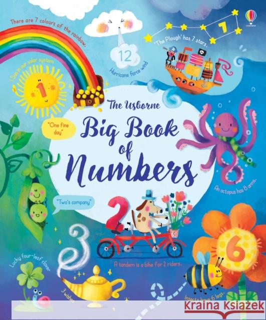 Big Book of Numbers Brooks, Felicity; Touliatou, Sophia 9781474937191 Usborne Publishing Ltd