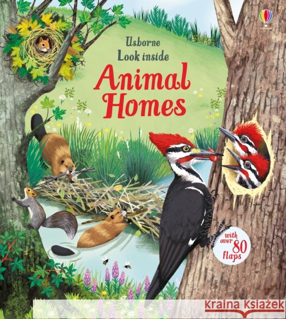 Look Inside Animal Homes Emily Bone 9781474942928 Usborne Publishing Ltd
