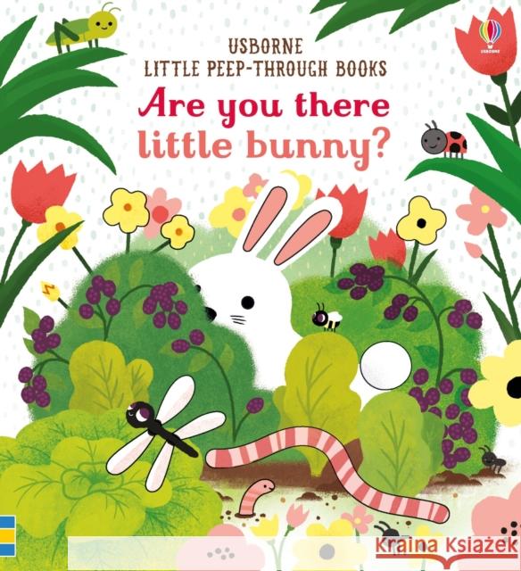 Are you there little Bunny Taplin, Sam 9781474945547 Usborne Publishing Ltd