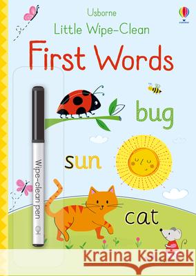 Little Wipe-Clean First Words Felicity Brooks 9781474951012
