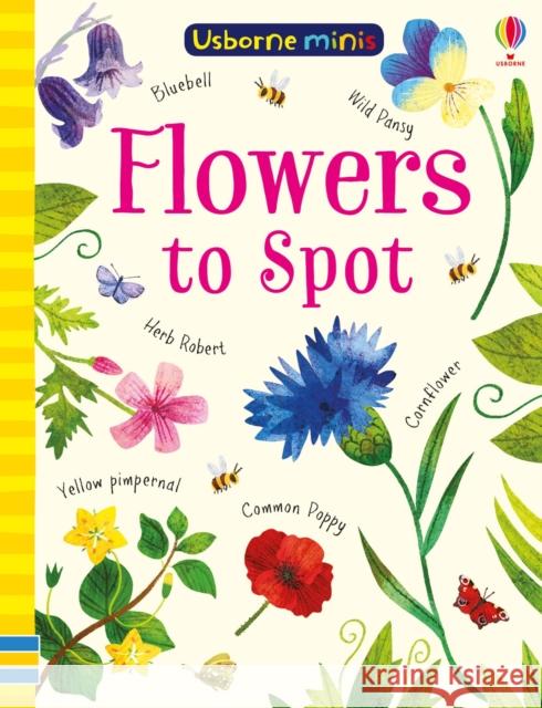 Flowers to Spot Smith, Sam 9781474952163 Usborne Publishing Ltd