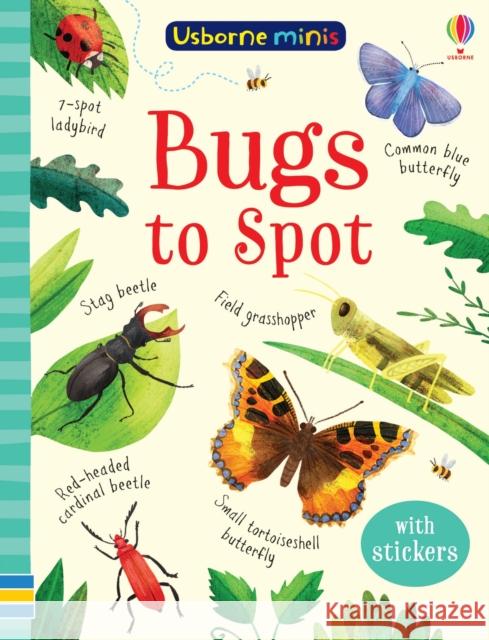 Bugs to Spot Smith, Sam 9781474952170 Usborne Publishing Ltd