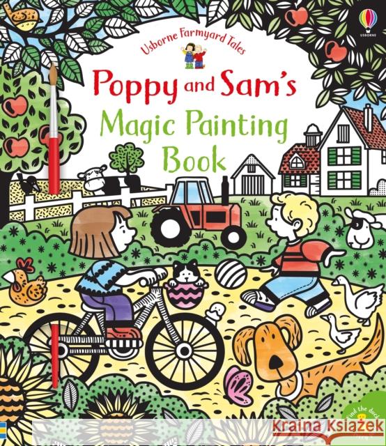 Poppy and Sam's Magic Painting Book Sam Taplin 9781474952750 Usborne Publishing Ltd