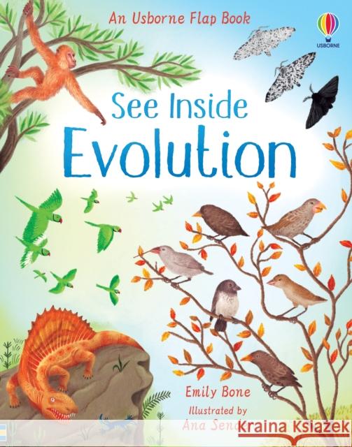 See Inside Evolution Emily Bone 9781474952798 Usborne Publishing Ltd