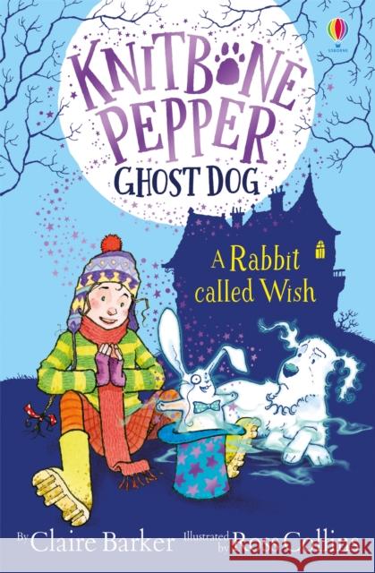 A Rabbit Called Wish Claire Barker 9781474953535