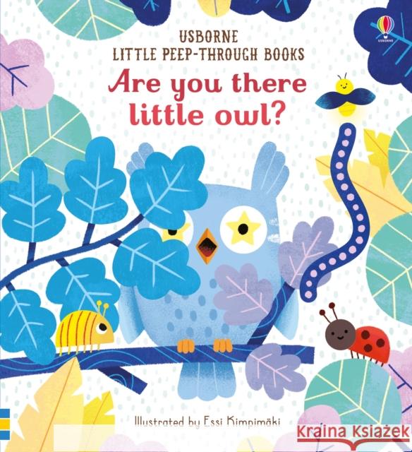 Are you there little Owl? Taplin, Sam 9781474966863 Usborne Publishing Ltd