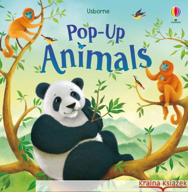 Pop-up Animals Anna Milbourne 9781474968027