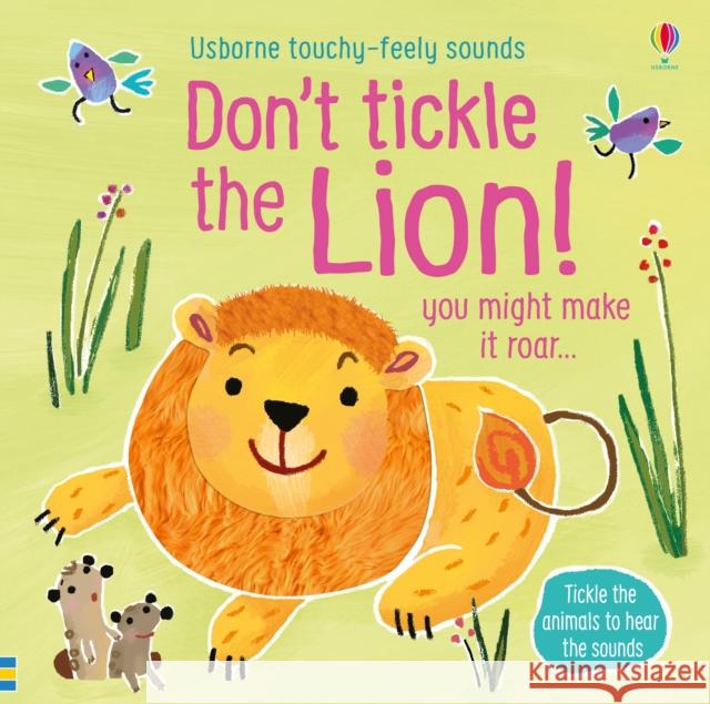 Don't Tickle the Lion! Taplin, Sam 9781474968720 Usborne Publishing Ltd