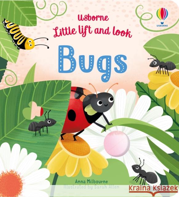 Little Lift and Look Bugs Anna Milbourne 9781474968812