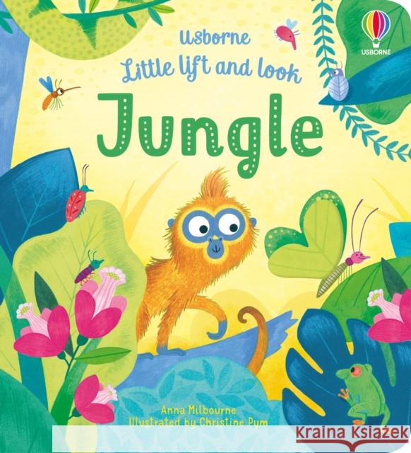 Little Lift and Look Jungle Anna Milbourne Christine Pym  9781474968829 Usborne Publishing Ltd