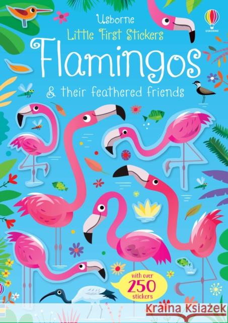 Little First Stickers Flamingos Kirsteen Robson Gareth Lucas  9781474971348 Usborne Publishing Ltd