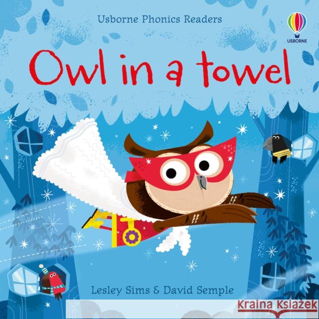 Owl in a Towel Lesley Sims 9781474971515 Usborne Publishing Ltd
