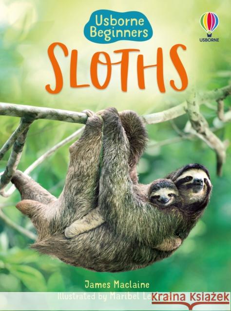 Sloths JAMES MACLAINE 9781474971638