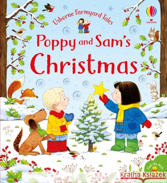 Poppy and Sam's Christmas Sam Taplin 9781474974943 Usborne Publishing Ltd