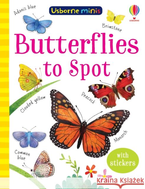 Butterflies to Spot KATE NOLAN 9781474974998 Usborne Publishing Ltd