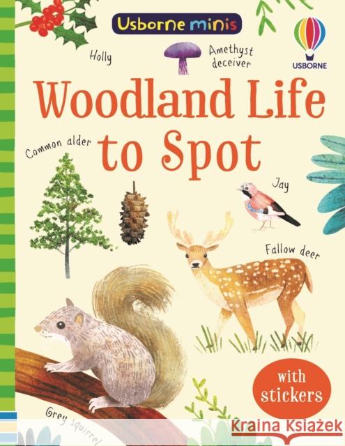 Woodland Life to Spot KIRSTEEN ROBSON 9781474975001 Usborne Publishing Ltd