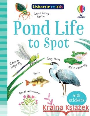 Pond Life to Spot Kate Nolan 9781474975018 Usborne Publishing Ltd