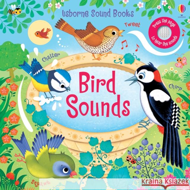 Bird Sounds Sam Taplin 9781474976749 Usborne Publishing Ltd