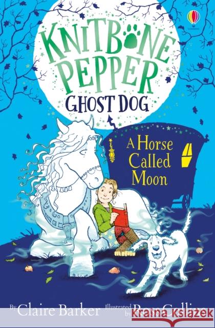 A Horse called Moon Claire Barker 9781474979283