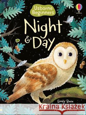 Night and Day Emily Bone Nina de Polonia  9781474979399 Usborne Publishing Ltd