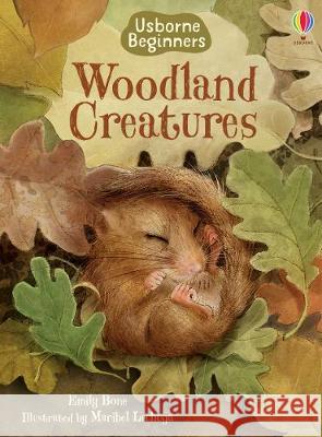 Woodland Creatures Emily Bone Maribel Lechuga  9781474979412 Usborne Publishing Ltd