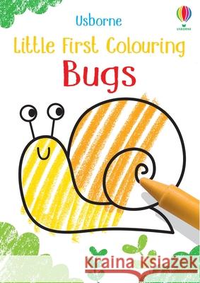 Little First Colouring Bugs Kirsteen Robson 9781474980555 Usborne Publishing Ltd