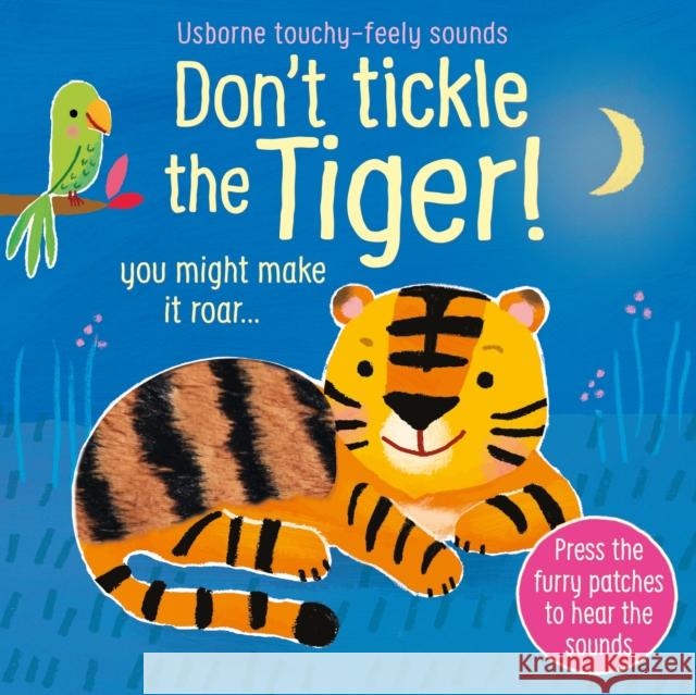 Don't Tickle the Tiger! Sam Taplin 9781474981026 Usborne Publishing Ltd