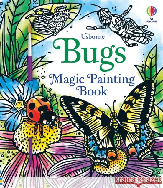 Bugs Magic Painting Book Abigail Wheatley 9781474986229 Usborne Publishing Ltd