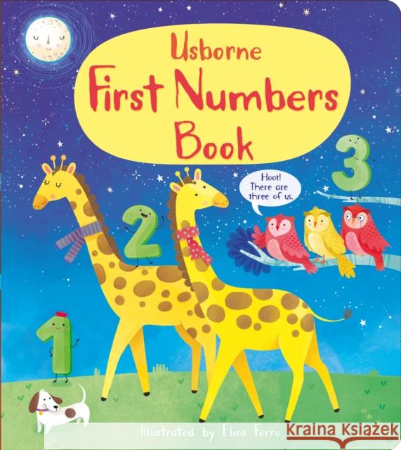 First Numbers Book Mary Cartwright Matthew Oldham Matthew Oldham 9781474986755