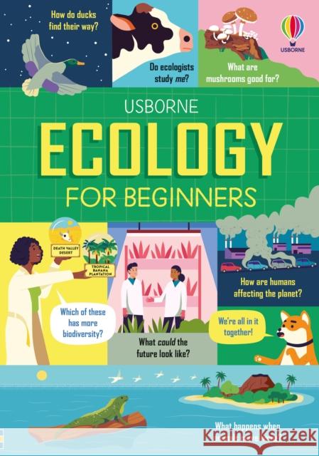Ecology for Beginners Lan Cook 9781474998475 Usborne Publishing Ltd