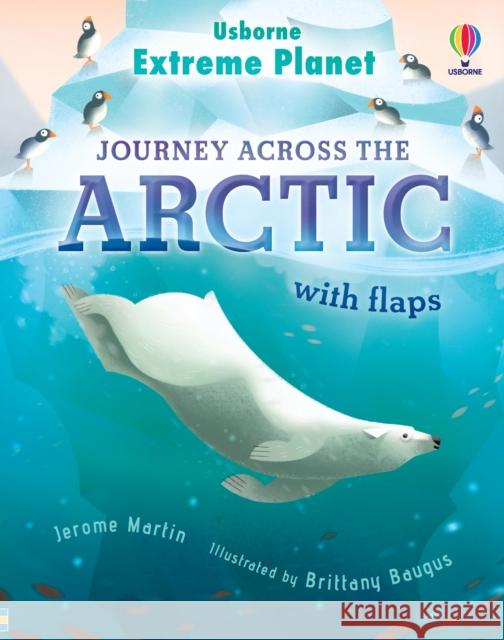 Extreme Planet: Journey across the Arctic Jerome Martin 9781474998741