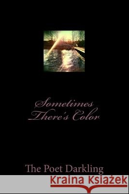 Sometimes There's Color The Poet Darkling Teresa Benjamin 9781475030570