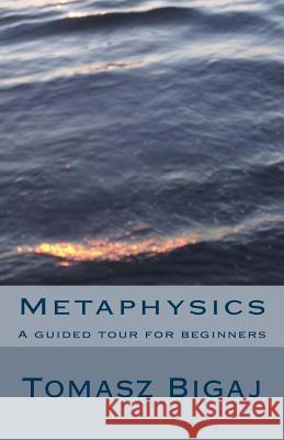 Metaphysics: A guided tour for beginners Bigaj, Tomasz 9781475055405