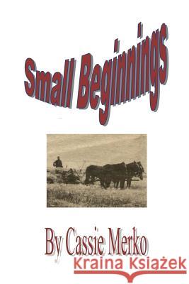 Small Beginnings Cassie Merko 9781475086966