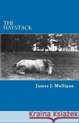 The Haystack James J. Mulligan 9781475101188