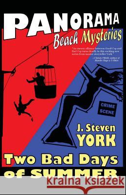 Two Bad Days of Summer J. Steven York 9781475126808