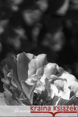 Bernard Vaughan S.J. C. C. Martindal 9781475196634 Createspace