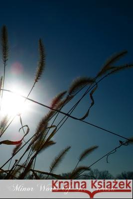 Minor Works Of St. Teresa: Conceptions Of The Love of God, Exclamations, Maxims, And Poems Of St. Teresa Of Jesus Of Stanbrook, Benedictines 9781475227109 Createspace