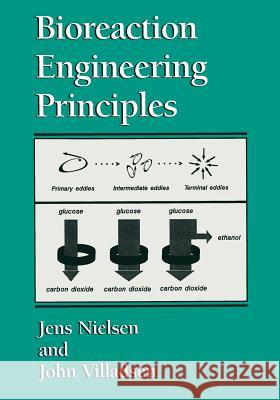Bioreaction Engineering Principles Jens Nielsen John Villadsen 9781475746471