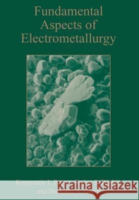 Fundamental Aspects of Electrometallurgy Konstantin Popov Branamir Grgur Stojan S. Djoki 9781475787207 Springer