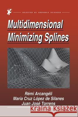 Multidimensional Minimizing Splines: Theory and Applications Arcangéli, R. 9781475788433 Springer