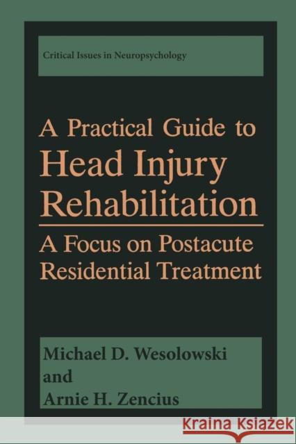 A Practical Guide to Head Injury Rehabilitation: A Focus on Postacute Residential Treatment Wesolowski, Michael D. 9781475789935 Springer