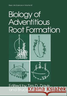 Biology of Adventitious Root Formation Tim D. Davis Bruce E. Haissig 9781475794946 Springer