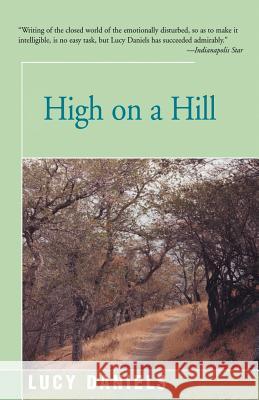 High on a Hill Lucy Daniels 9781475995442 iUniverse.com