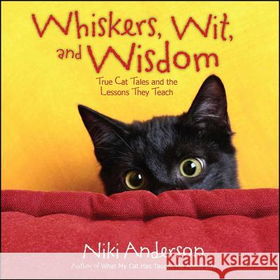 Whiskers, Wit, and Wisdom: True Cat Tales and the Lessons They Teach Niki Anderson 9781476738147 Howard Books